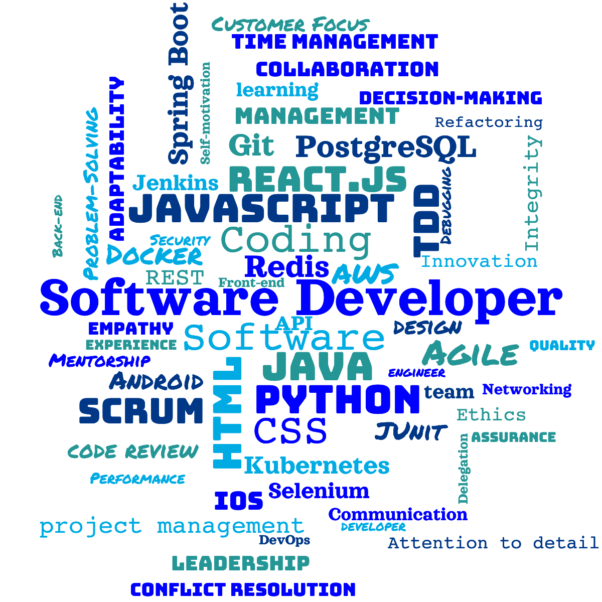 A word cloud from a software developer's CV listing their various technical and soft skills, such as Java, Networking, Mentorship, Refactoring