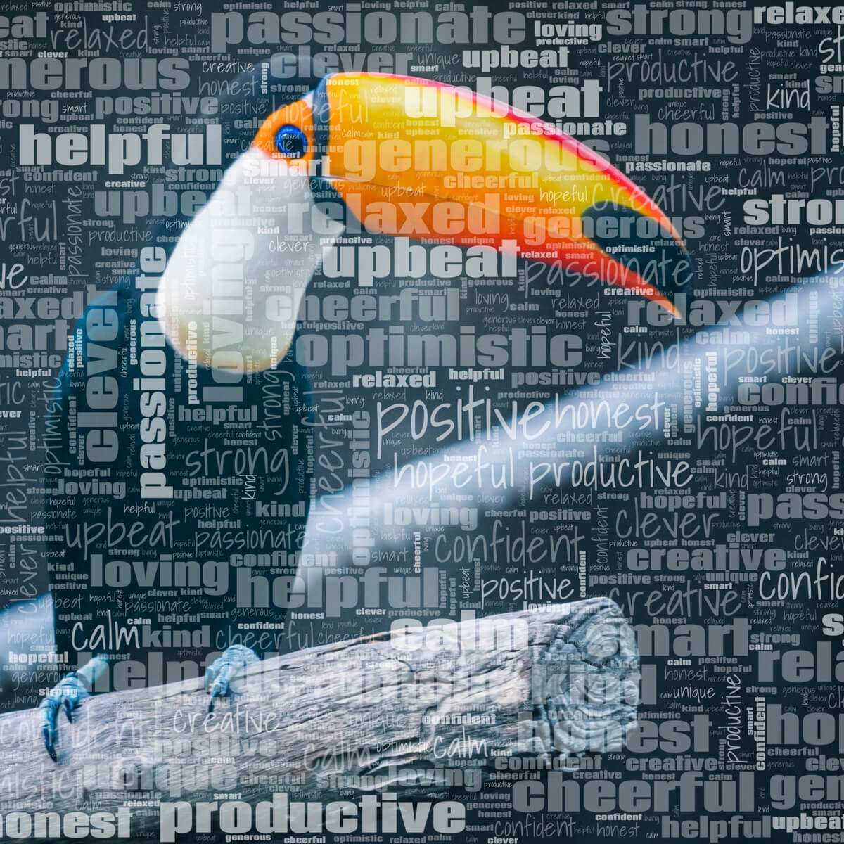 A word cloud with words such as "positive", "productive", "helpful" and "optimistic", in a semi-transparent font, on the background of a photograph of a colourful toucan bird.
