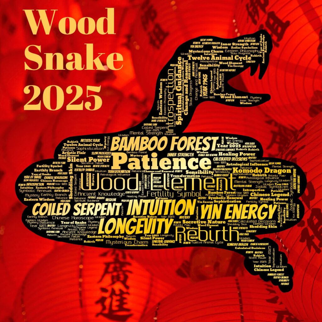 Lunar Year 2025 word cloud is set against red Chinese lanterns background and uses a black snake shape with gold gradient text in 3 fonts - all lucky colours.